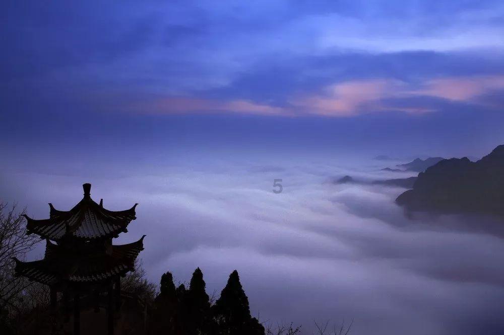 可爱啄木鸟逃脱