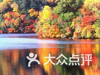 三天查获酒醉驾102起！平安春运，淄博交警展开集中整治