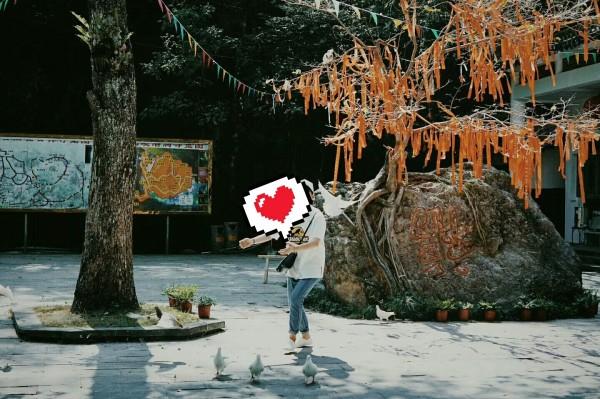 一张长方行的纸片有四个直角，对折展开后，有几个直角？游戏画面