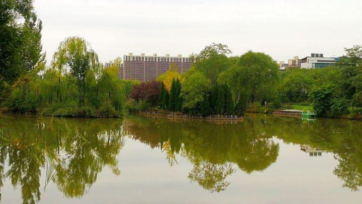 古董市场