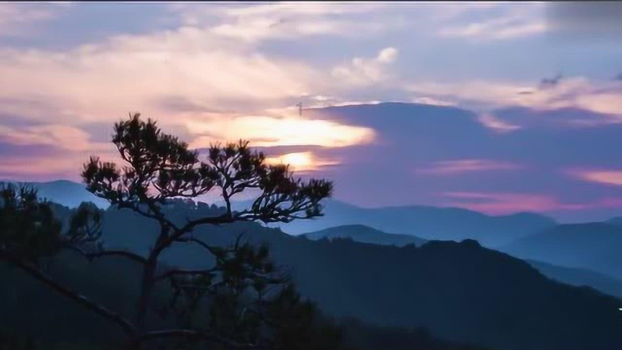 组装机械章鱼龙