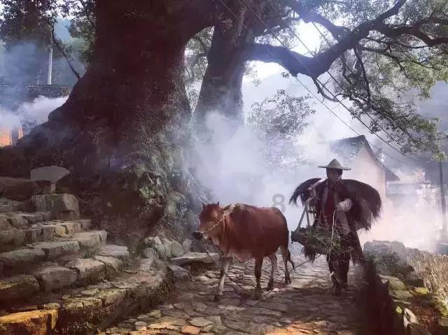 逃离奇幻仙境