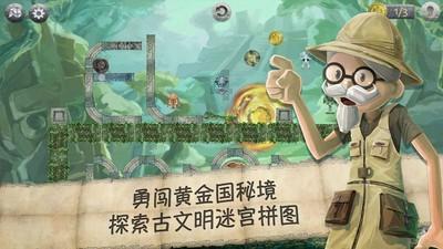疯狂的小偷
