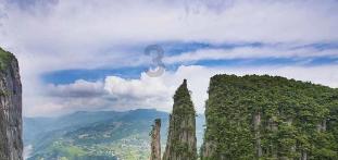 香蕉底部有白毛是坏了吗-机智问答网页,快速解答疑问