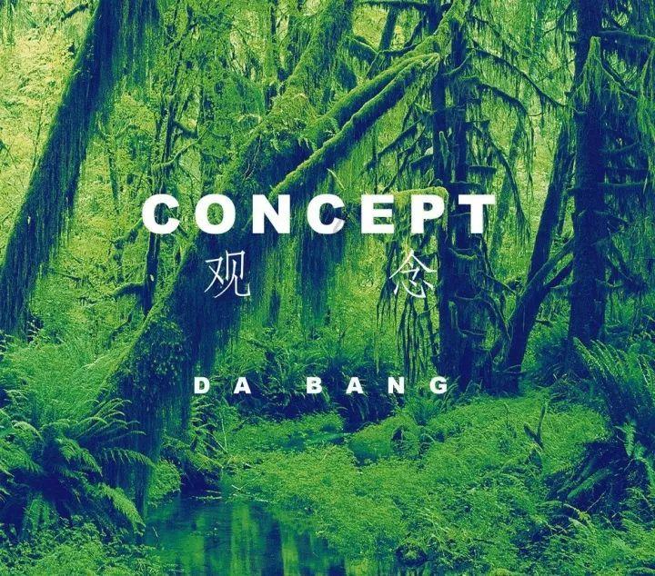 森林的奇迹