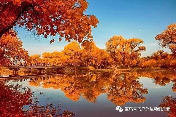 隐藏的金色星星