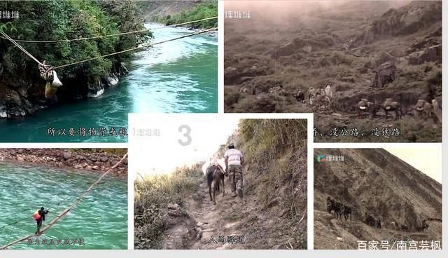 “九大登攀行动”澎湃高质量发展新动能