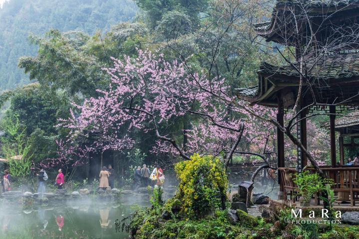 黑客通过机器人程序轻松突破苹果防黄牛技术