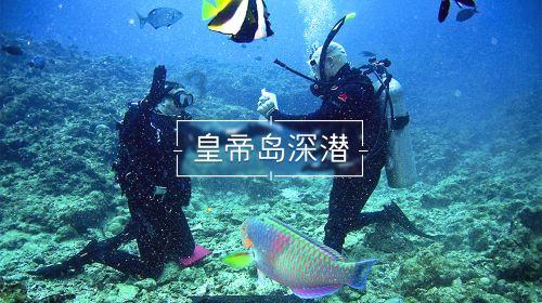 优雅的咖啡店
