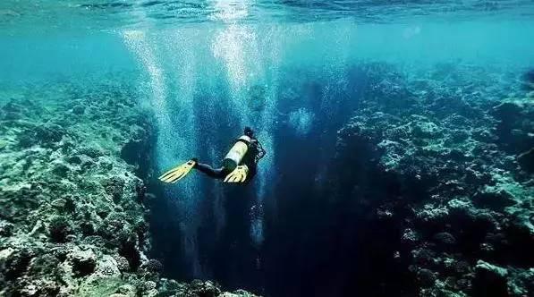 逃出奶油苹果屋