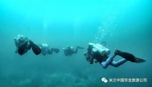 燃烧吧大脑装瓶子游戏