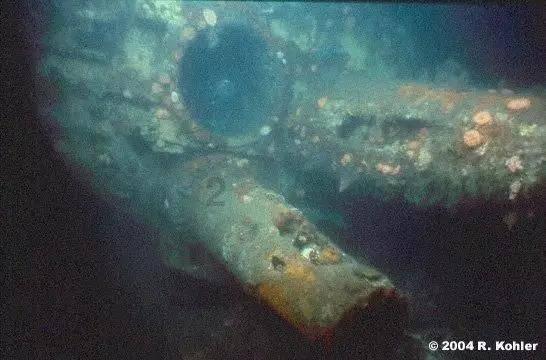 食品安全存隐患 诉前磋商促整改