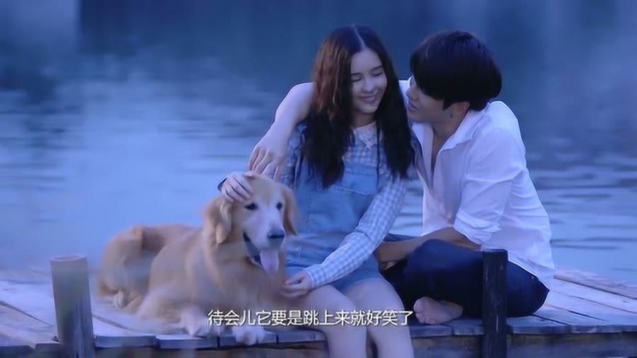 植物大战僵尸16