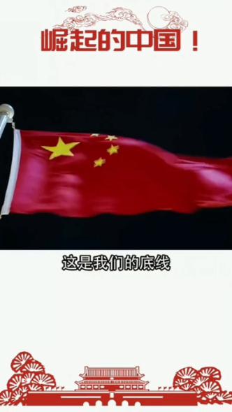救援呆萌的猫