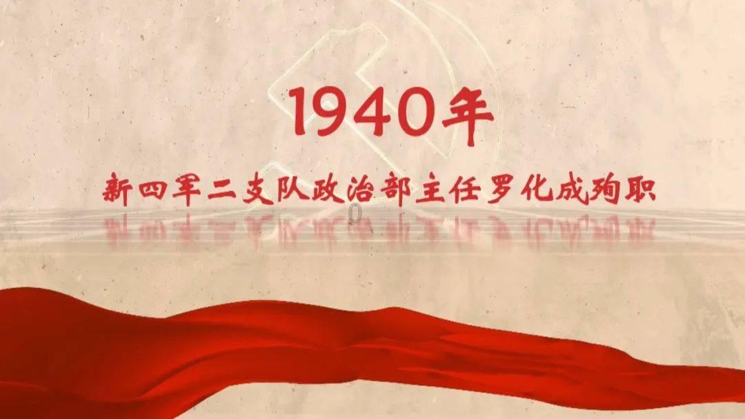 植物大战僵尸17