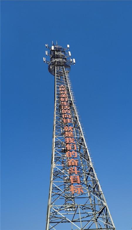 虫虫助手下载
