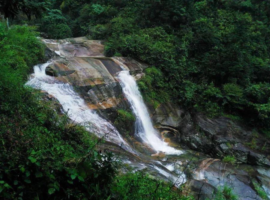 虫虫助手下载