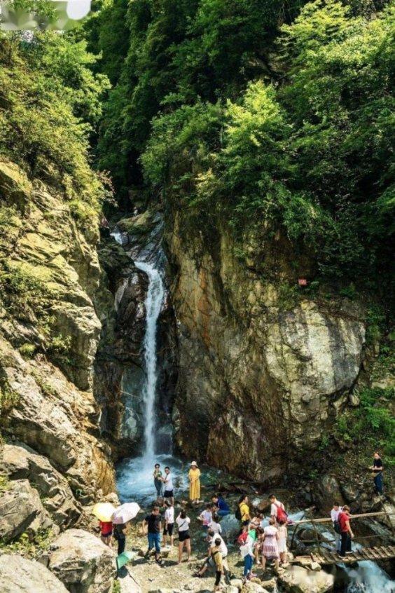 青海：老年人意外伤害保险开始办理了