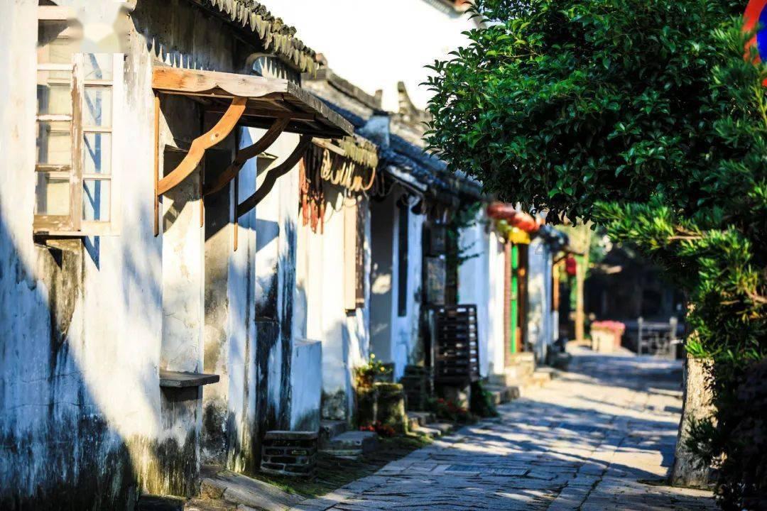 《傲慢与偏见》揭露人生真相 ,富能吊打高和帅