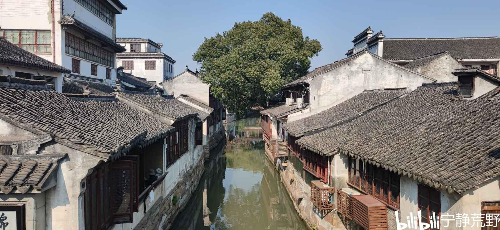 救援可怜的穴居人