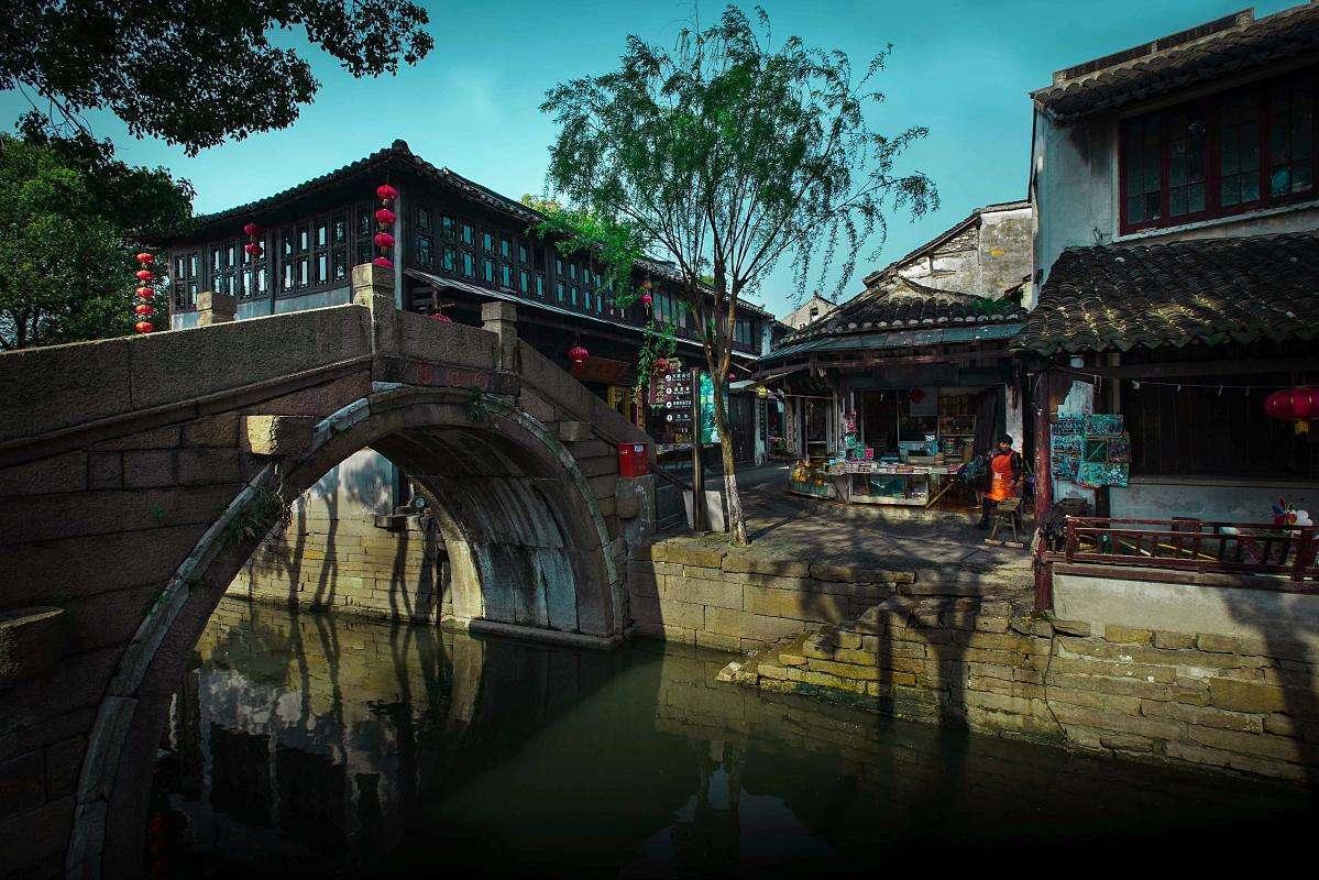 逃离橡子树种植地